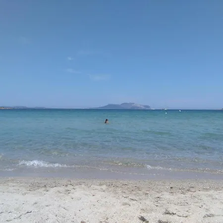 Le Maree * Murta Maria